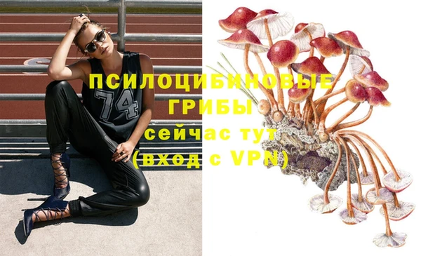 марки lsd Абаза